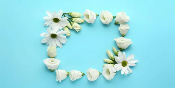 Frame Made Beautiful Eustoma Chamomile Flowers Light Blue Background — Stock Photo, Image