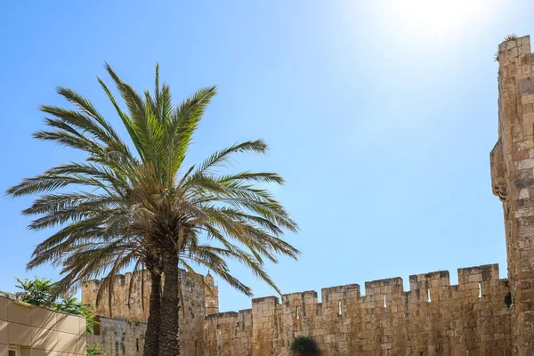 stock image View of palm trees and Jaffa gate in Jerusalem