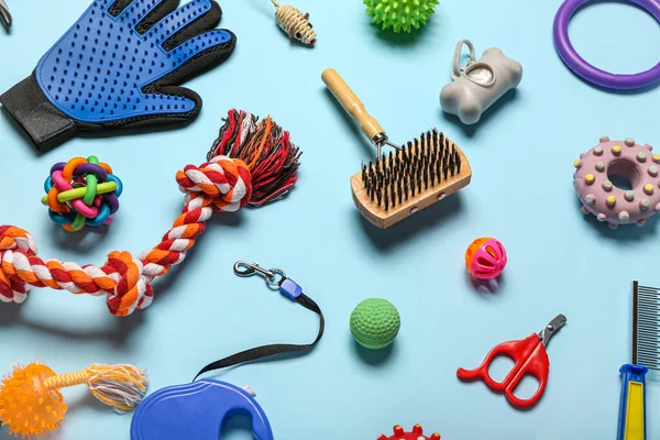 Set of different pet care accessories and toys on color background