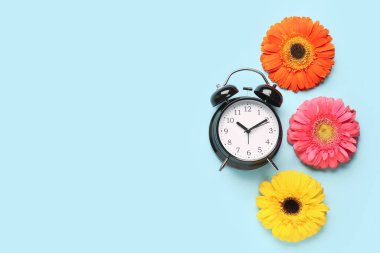 Alarm saati ve mavi arka planda güzel Gerbera çiçekleri.