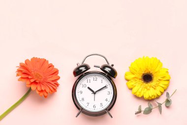 Alarm saati, okaliptüs dalı ve pembe arka planda güzel Gerbera çiçekleri.