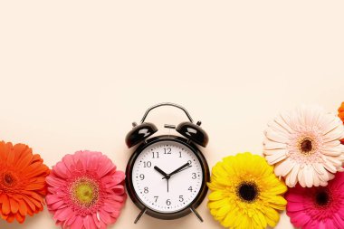 Çalar saat ve bej arka planda güzel Gerbera çiçekleri