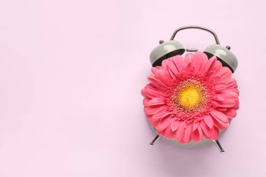 Pembe arka planda güzel Gerbera çiçekli çalar saat