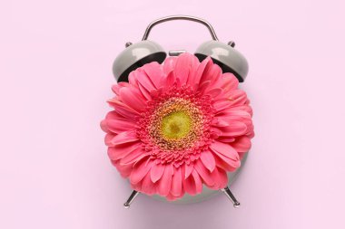 Pembe arka planda güzel Gerbera çiçekli çalar saat