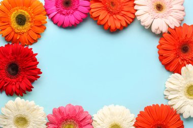 Mavi arka planda güzel Gerbera çiçeklerinden yapılmış çerçeve