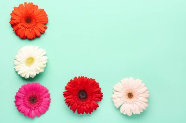 Turkuaz arka planda güzel Gerbera çiçeklerinden yapılmış çerçeve