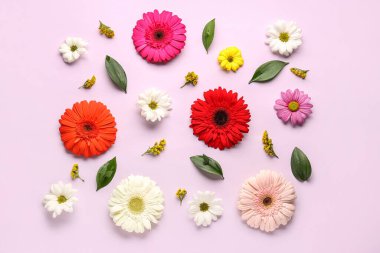 Güzel Gerbera çiçekleri ve leylak arkaplanda bitki yaprakları olan kompozisyon