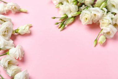 Pembe arka planda güzel Eustoma çiçekleri, yakın plan