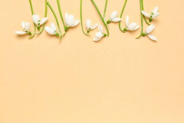 Bej arkaplanda güzel kar damlaları olan kompozisyon