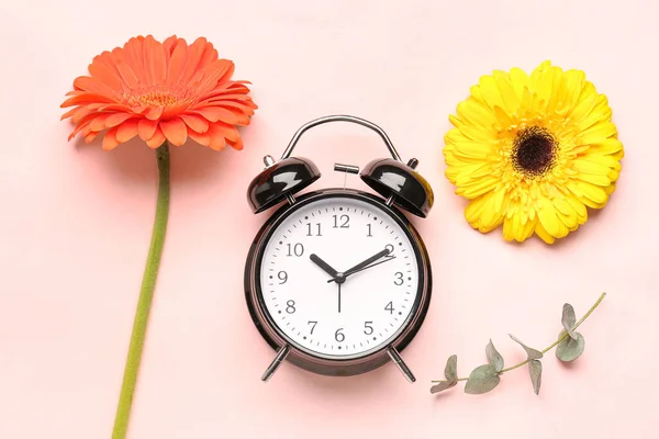 Relógio Despertador Ramo Eucalipto Belas Flores Gerbera Fundo Rosa — Fotografia de Stock