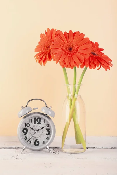 ベージュ地に美しいガーベラの花と目覚まし時計と花瓶 — ストック写真