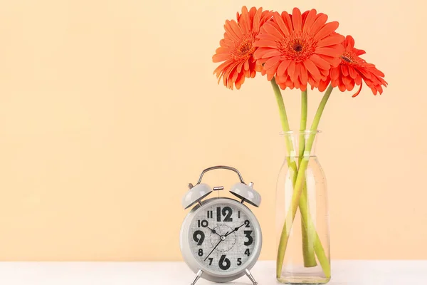 Ξυπνητήρι Και Βάζο Όμορφα Λουλούδια Gerbera Μπεζ Φόντο — Φωτογραφία Αρχείου