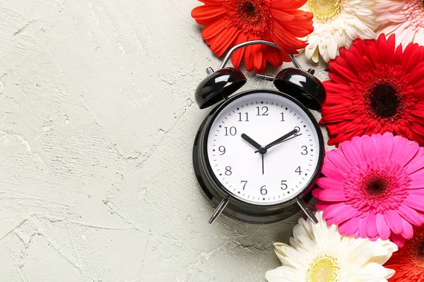 目覚まし時計と美しいガーベラの花の灰色のグランジの背景 — ストック写真
