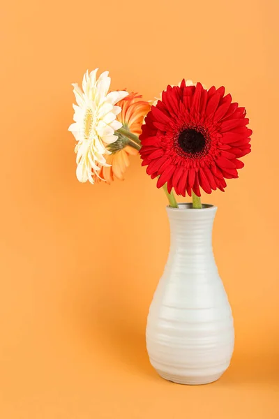 Florero Con Hermosas Flores Gerberas Sobre Fondo Naranja — Foto de Stock