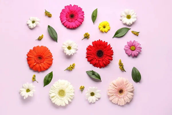 stock image Composition with beautiful gerbera flowers and plant leaves on lilac background