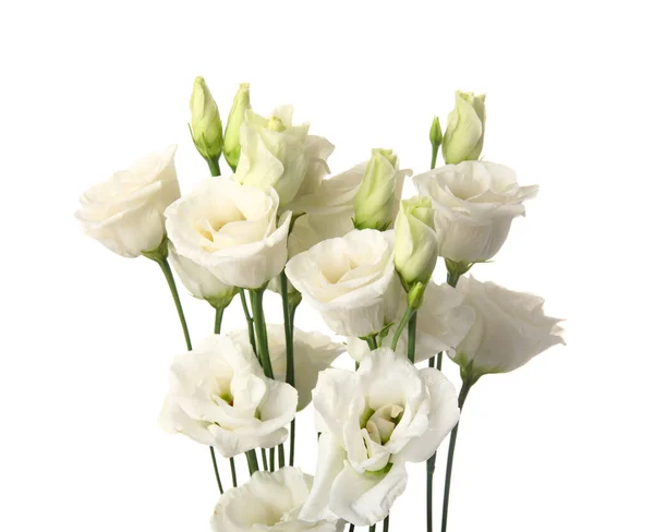 Bouquet Belles Fleurs Eustomes Isolées Sur Fond Blanc Gros Plan — Photo