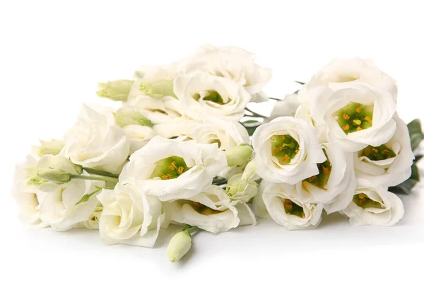 stock image Bouquet of delicate eustoma flowers on white background, closeup