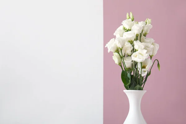 Vase Mit Schönen Eustoma Blumen Der Nähe Der Farbwand — Stockfoto
