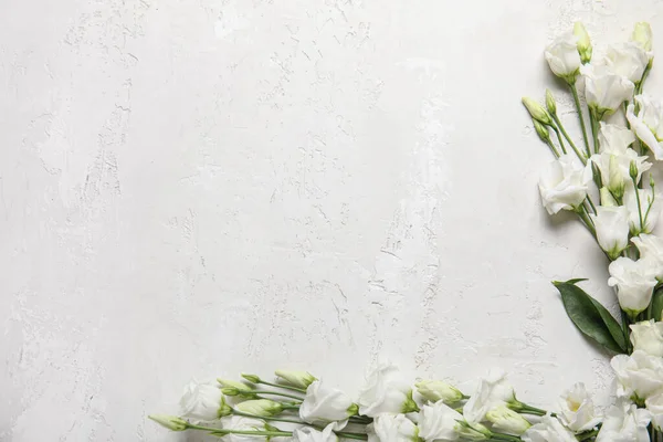 Composición Con Hermosas Flores Eustoma Sobre Fondo Claro — Foto de Stock
