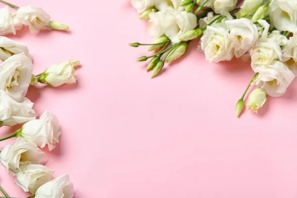 Beautiful Eustoma Flowers Pink Background Closeup — Stock Photo, Image