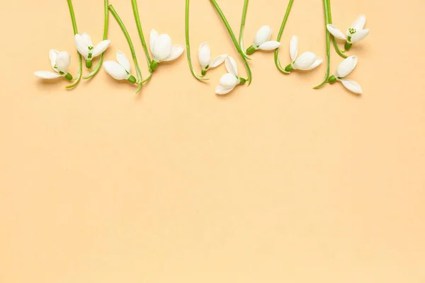 Composition Beautiful Snowdrops Beige Background — Stock Photo, Image