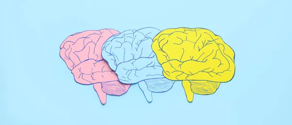 Paper Human Brains Light Blue Background — Stockfoto