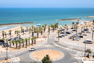 Palmiye ağaçları ve arabalarla güzel bir sahil manzarası