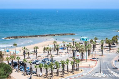 Palmiye ağaçları ve arabalarla güzel bir sahil manzarası