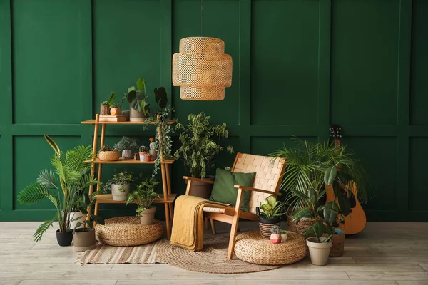 Interior Living Room Green Houseplants Shelving Unit Armchair — Stock Photo, Image