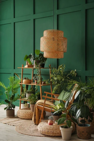 Wnętrze Salonu Zielonymi Roślinami Szafką Fotelem — Zdjęcie stockowe