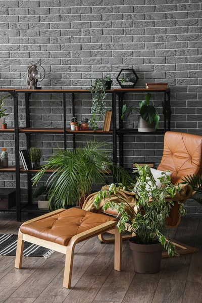 Interieur Woonkamer Met Kamerplanten Planken Fauteuil — Stockfoto