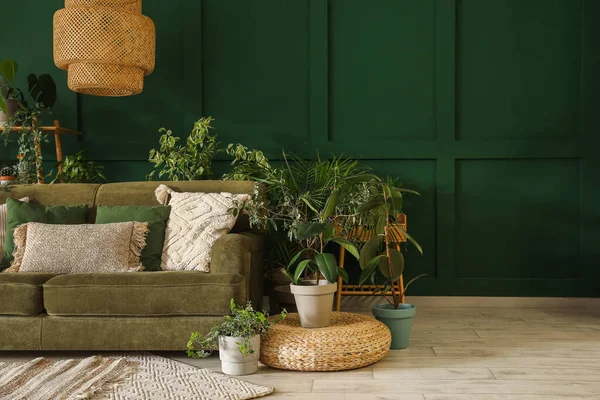 Interiér Obývacího Pokoje Zelenou Pohovkou Pokojovými Rostlinami — Stock fotografie