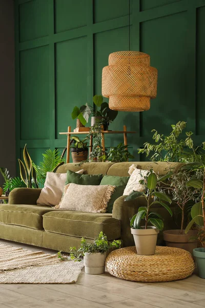 Innenraum Des Wohnzimmers Mit Grünem Sofa Und Zimmerpflanzen — Stockfoto