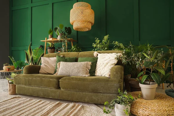 Innenraum Des Wohnzimmers Mit Grünem Sofa Und Zimmerpflanzen — Stockfoto