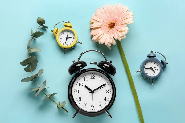 Relógios Alarme Ramo Eucalipto Belas Flores Gerbera Fundo Azul — Fotografia de Stock