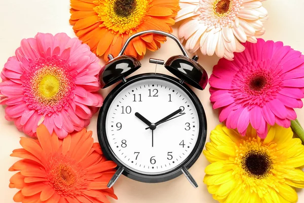 Wekker Klok Mooie Gerbera Bloemen Beige Achtergrond — Stockfoto
