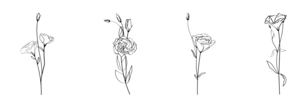 Collage Vackra Eustoma Blommor Vit Bakgrund — Stock vektor