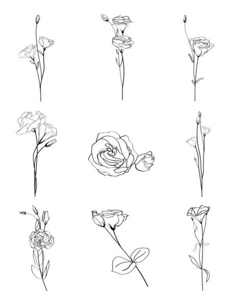 Kolaż Piękne Kwiaty Eustoma Białym Tle — Wektor stockowy