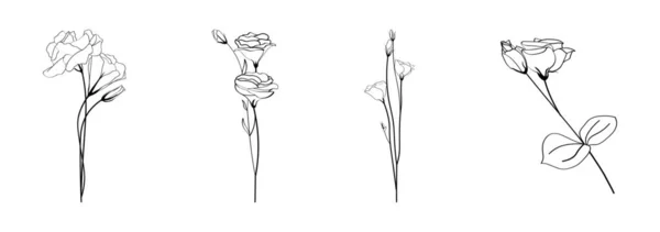 Beyaz Arka Planda Güzel Eustoma Çiçeklerinin Kolajı — Stok Vektör
