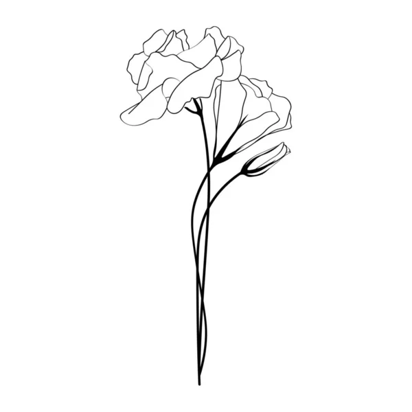 Mooie Eustoma Bloemen Witte Achtergrond — Stockvector