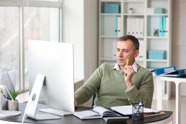 Mature accountant working with computer at table in office