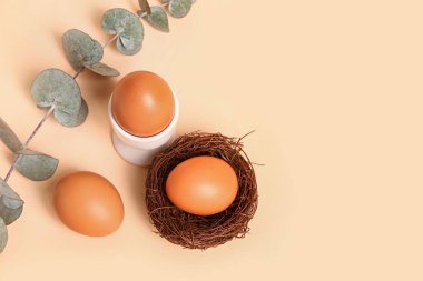 Renkli arkaplanda Paskalya yumurtaları ve okaliptüs dalıyla kompozisyon