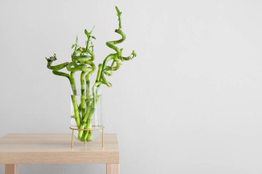 Vase with bamboo plant on table near grey wall