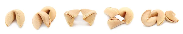 Conjunto Saborosos Biscoitos Sorte Fundo Branco — Fotografia de Stock