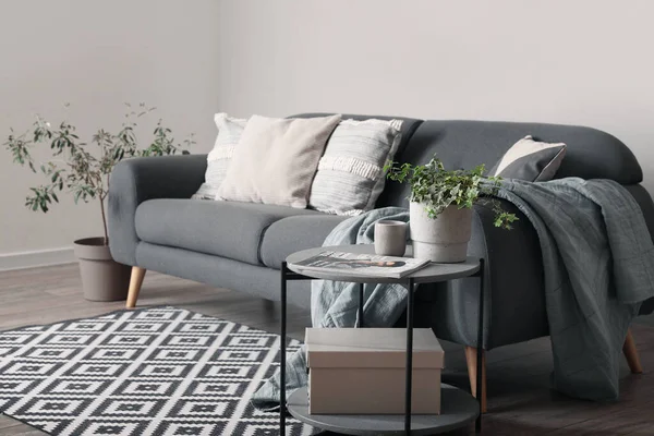 Cozy Sofa Pillows Living Room — Stock Photo, Image