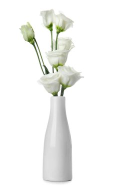 Beyaz arka planda izole edilmiş narin Eustoma çiçekleri olan vazo