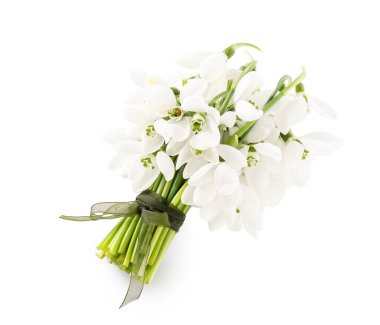 Beyaz arka plan üzerinde izole güzel kardelen