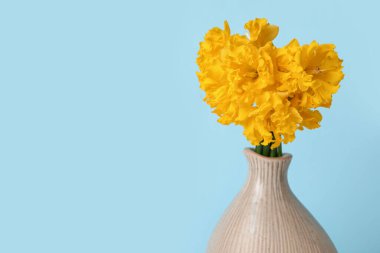 Mavi arka planda narsis çiçekleri olan vazo, yakın plan.