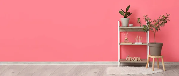 Unidade Prateleira Elegante Com Decoração Plantas Sala Perto Parede Rosa — Fotografia de Stock