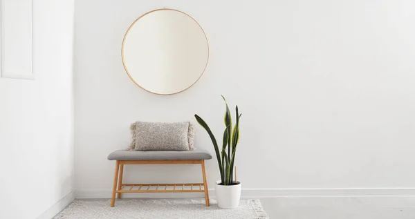Soft bench with cushion, houseplant and hanging mirror on light wall in room